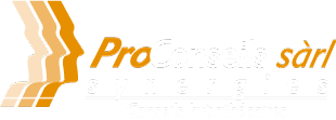 ProConseils Synergies Sàrl